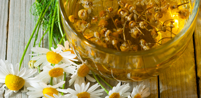 Pure Chamomile - A flower-based tea packed with benefits