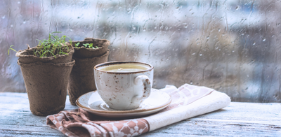 Monsoon Bliss with Chai Teas