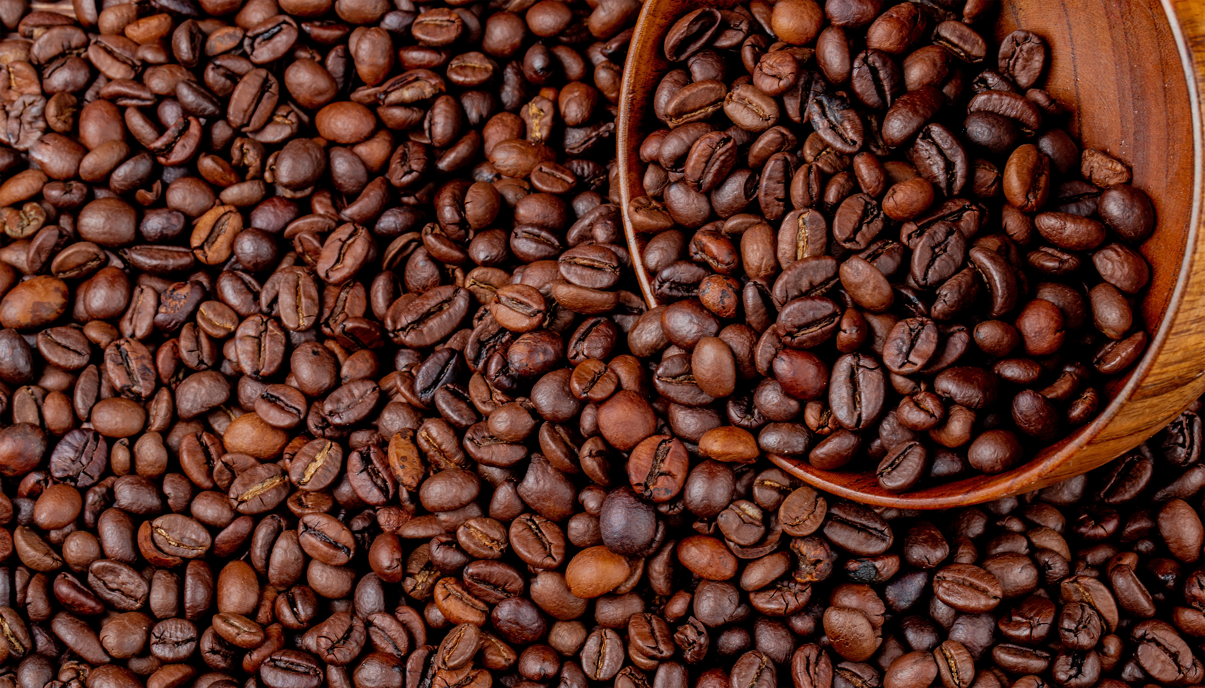 Coffee Roasting Decoded: From Bean to Bliss