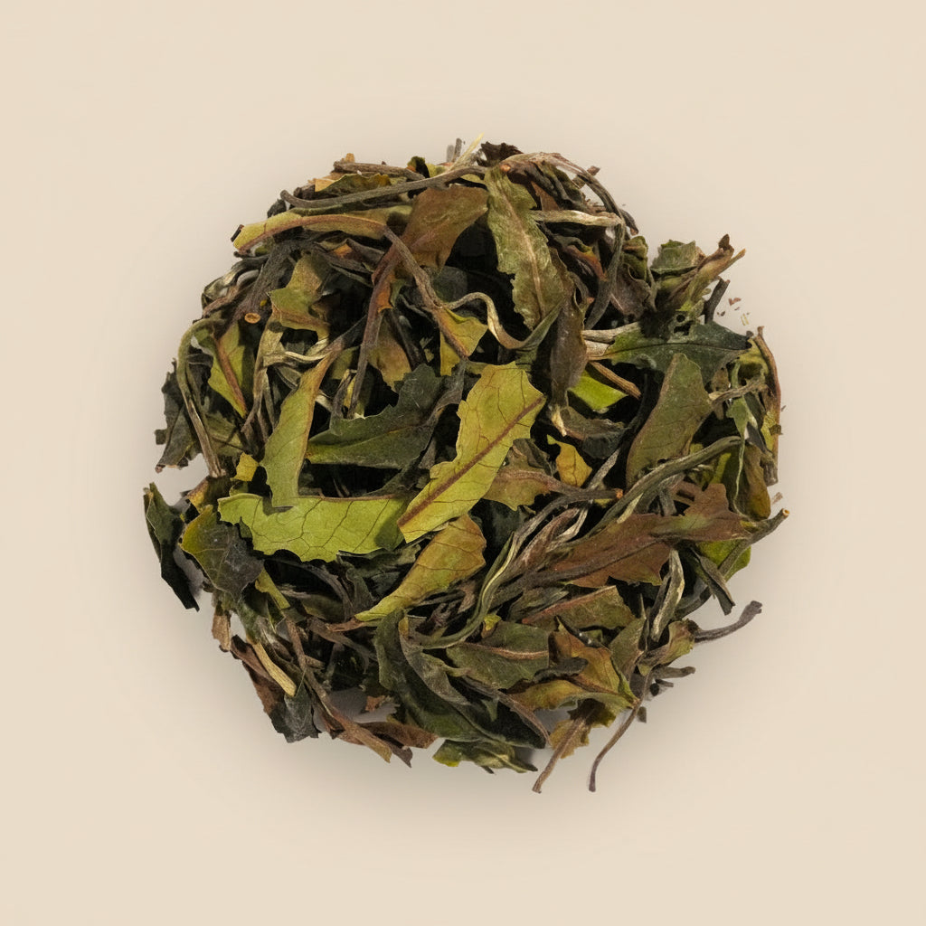 Bai Mu Dan White Peony Tea - Loose Leaf Tea