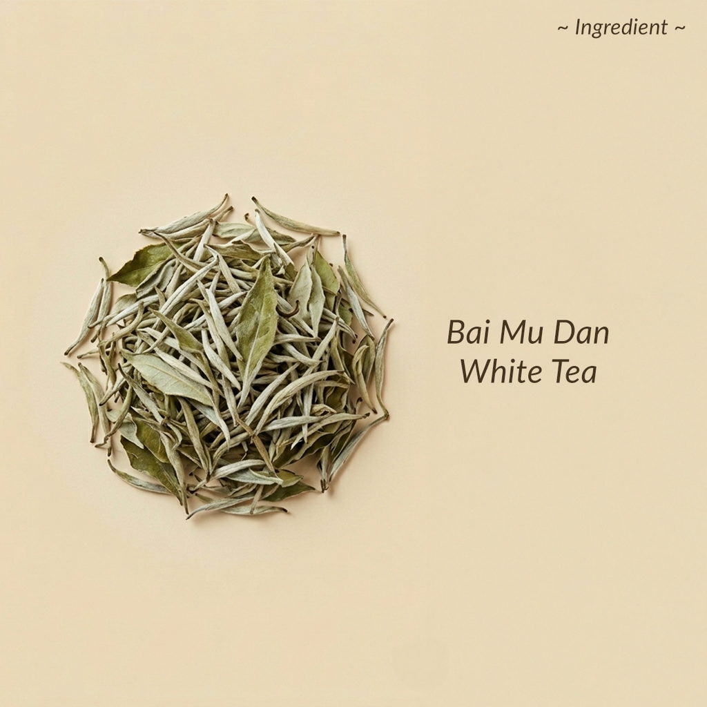 Bai Mu Dan White Tea leaves 