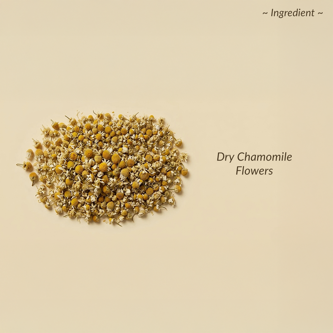 Dry chamomile flowers