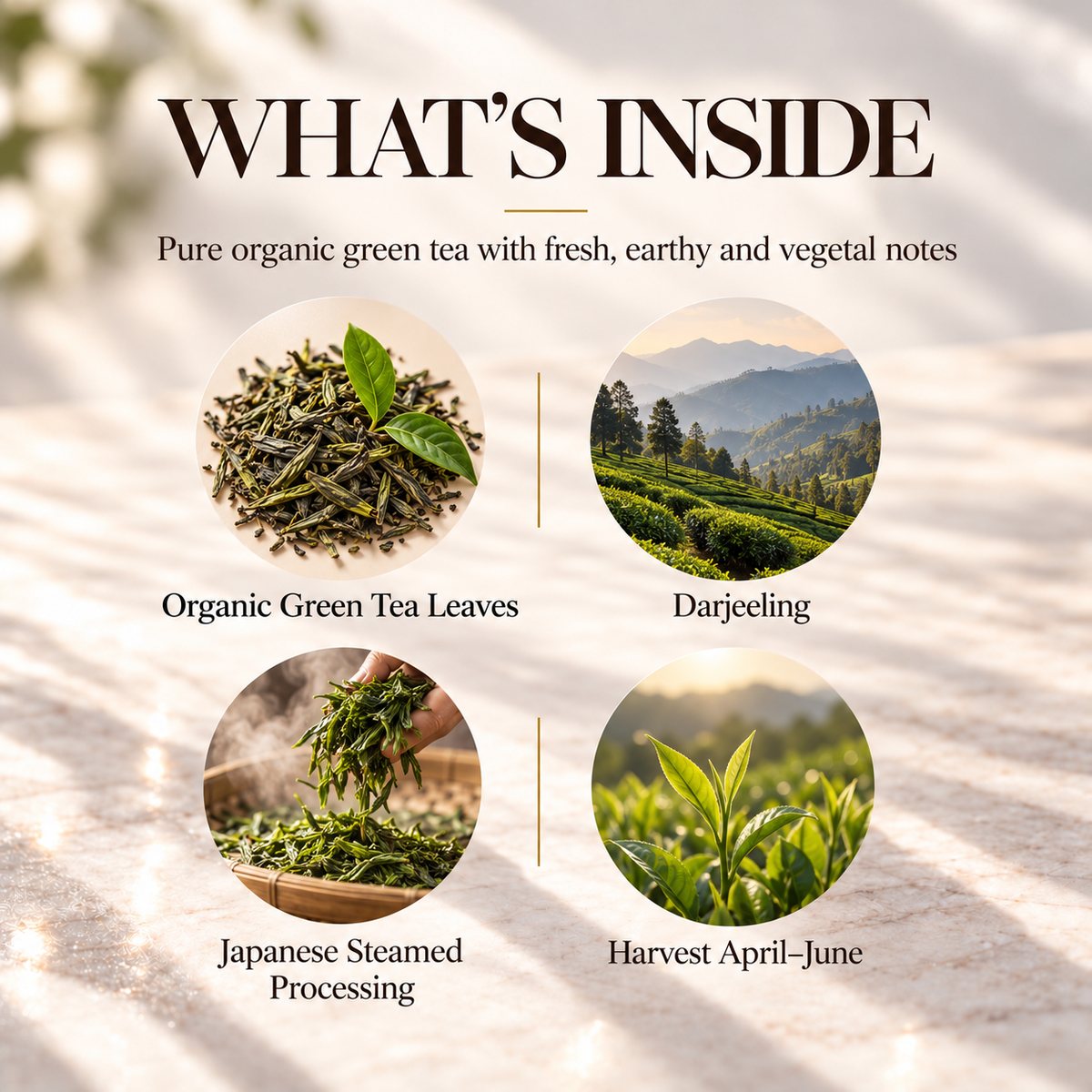 Organic Green Tea