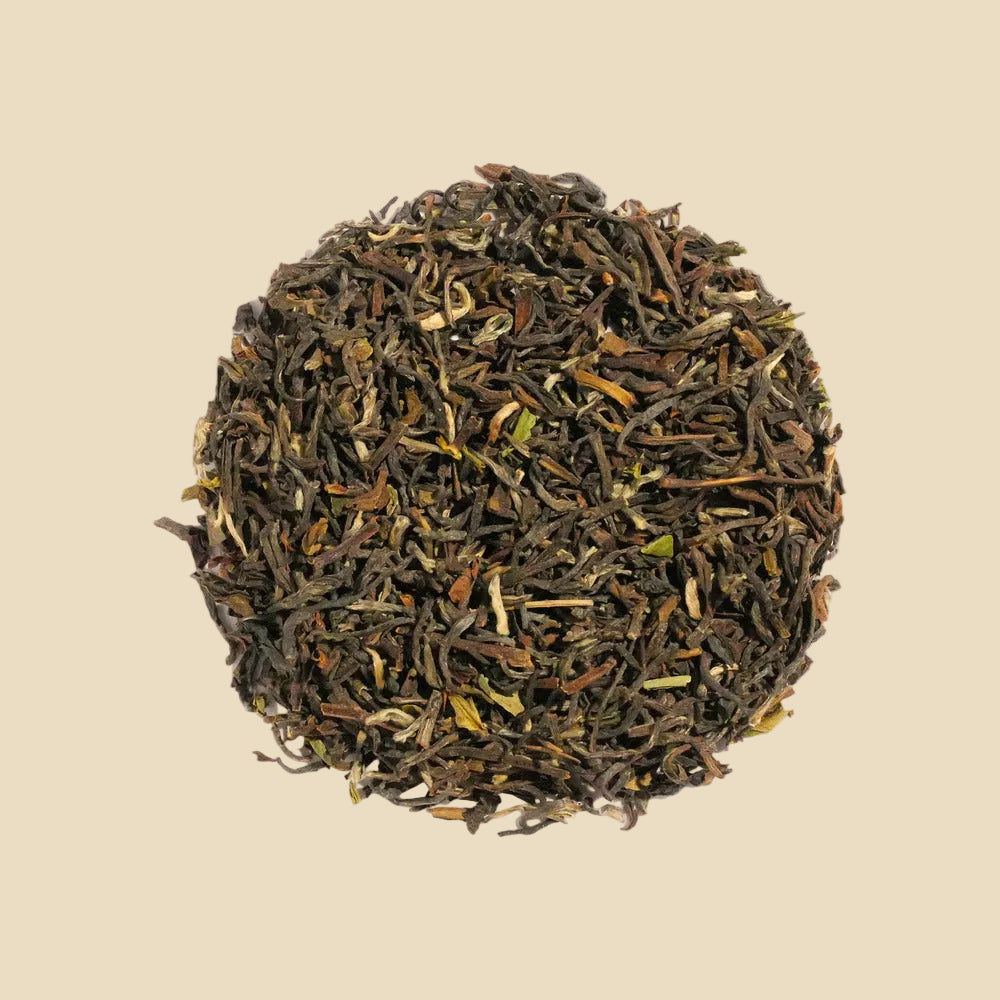 Darjeeling Black Tea - Pyramid Bags / Loose