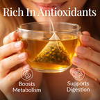 Lemon Detox Green Tea Infusion - Pyramid Bags / Loose