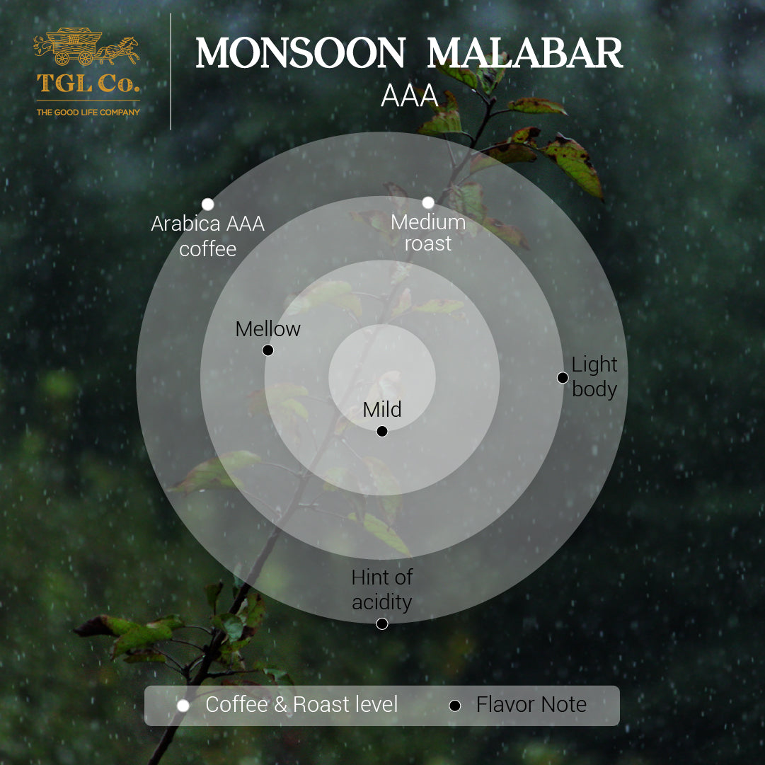 Monsoon Malabar AAA Roasted Coffee / Beans