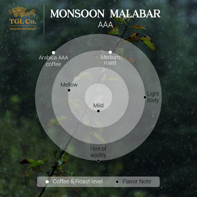 Monsoon Malabar AAA Roasted Coffee / Beans