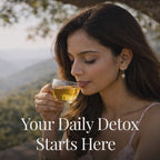 Lemon Detox Green Tea Infusion - Pyramid Bags / Loose