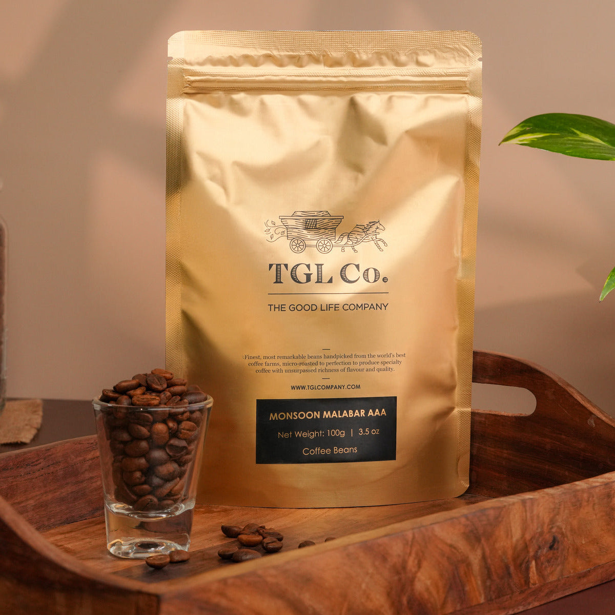 Monsoon Malabar Arabica coffee beans for bold earthy coffee brewing
