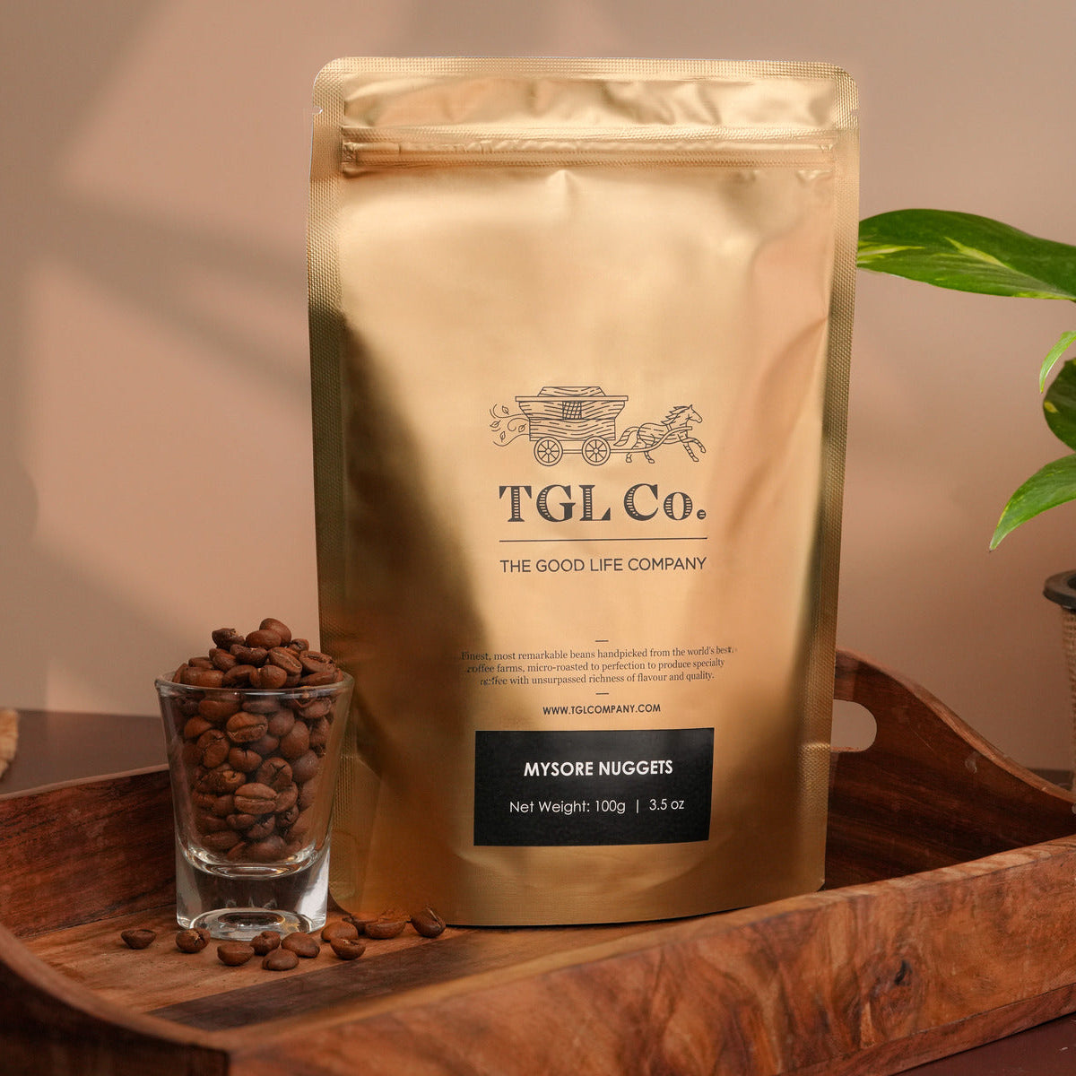 Mysore Nuggets Arabica coffee beans for specialty coffee brewing