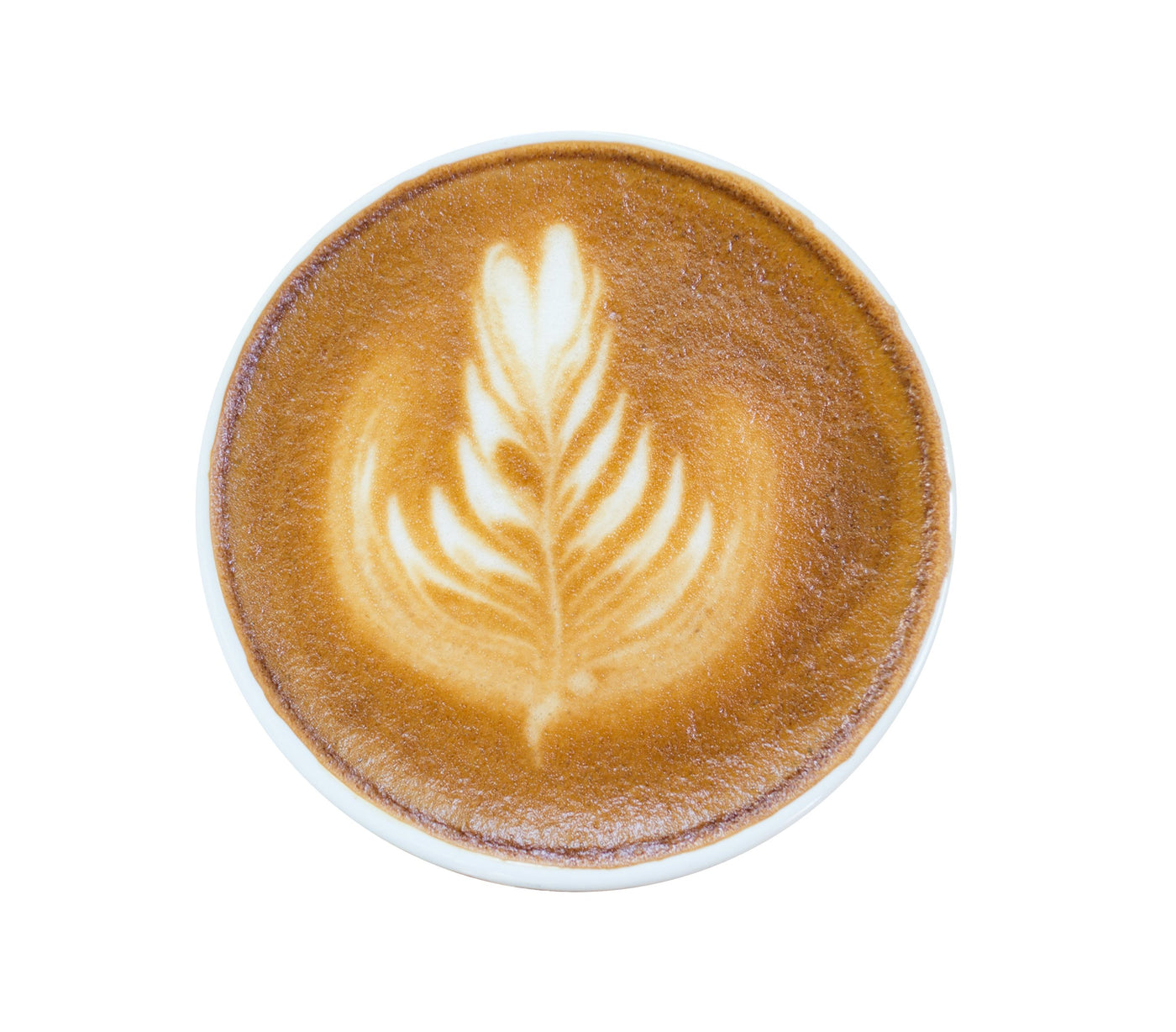 Morning Motivation Instant Coffee Powder