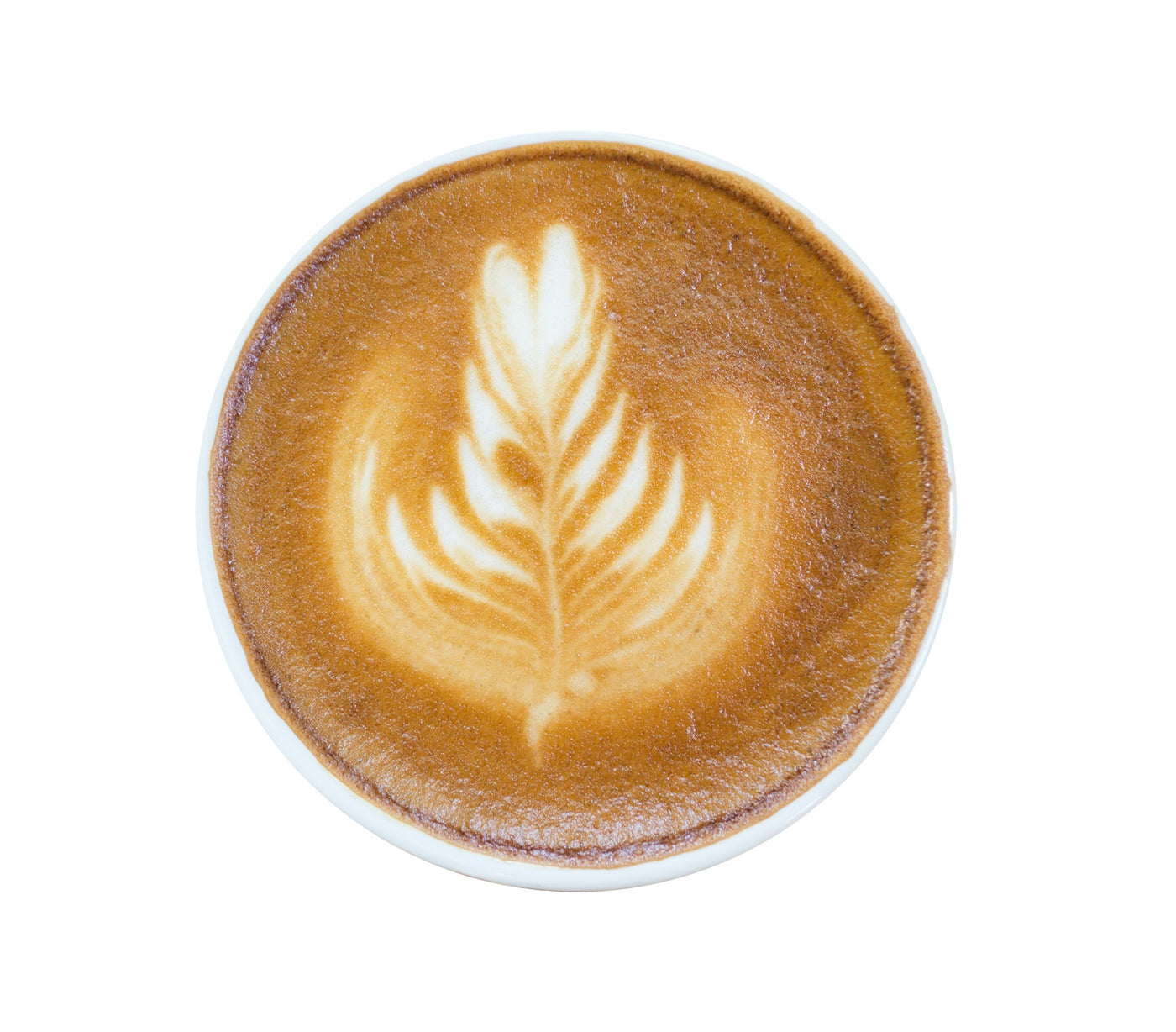 Morning Motivation Premium Instant Coffee (100% Arabica)